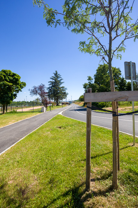 Création d'un complexe sportif sur le site de la Grisiere - lot 5 espaces verts 2