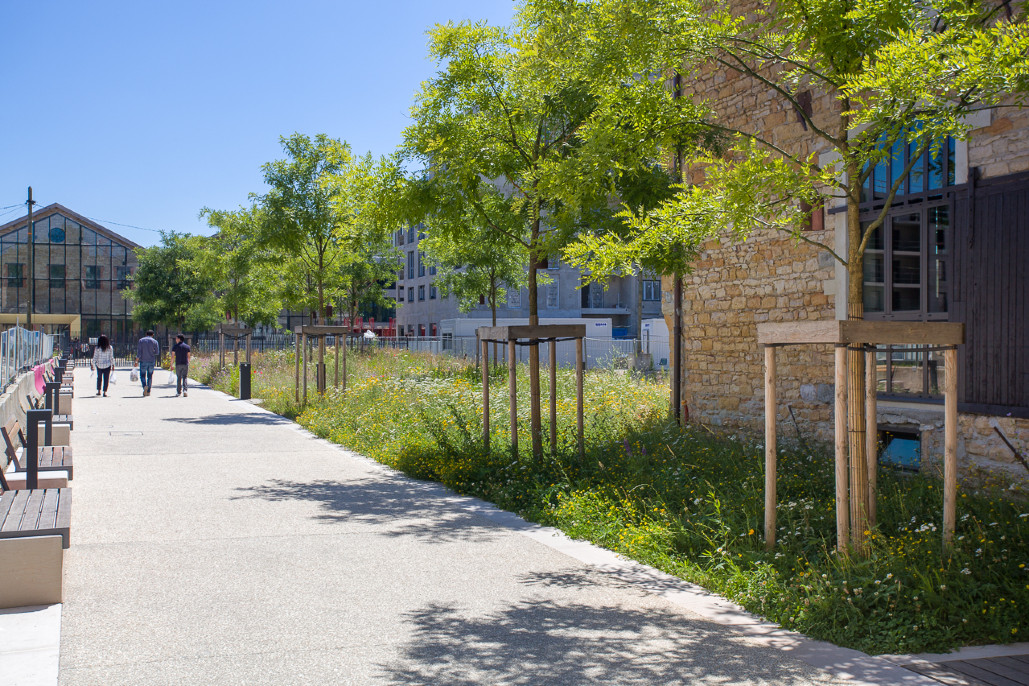 Réhabilitation petite Halle Rue de Gerland - Lot 14 VRD espaces verts 2