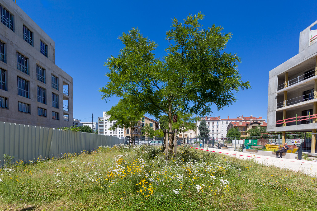 Réhabilitation petite Halle Rue de Gerland - Lot 14 VRD espaces verts 5