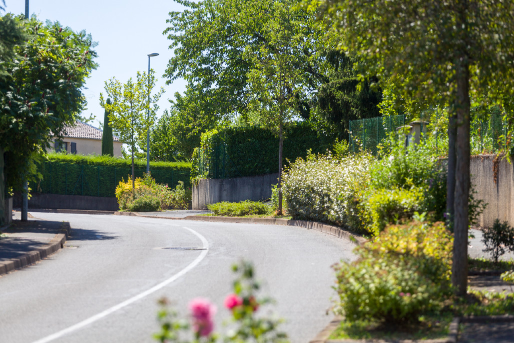 Ville de Saint-Cyr-Au-Mont-D'Or - Entretien et nettoyage des espaces verts 6