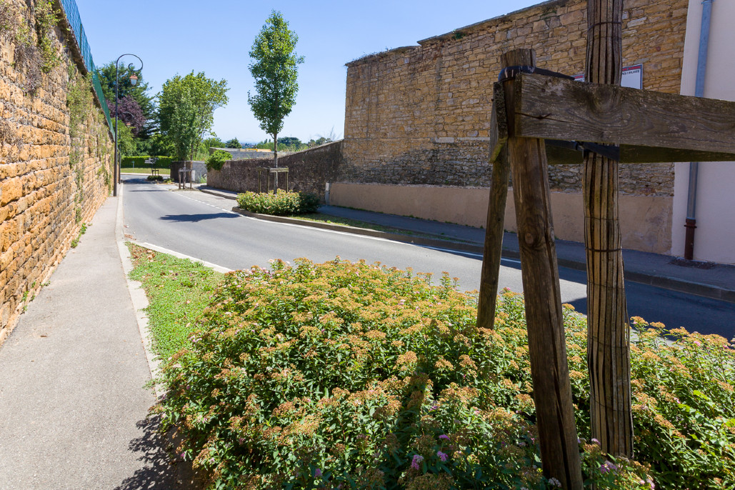 Ville de Saint-Cyr-Au-Mont-D'Or - Entretien et nettoyage des espaces verts 7