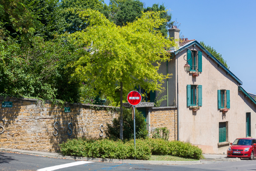 Ville de Saint-Cyr-Au-Mont-D'Or - Entretien et nettoyage des espaces verts 8