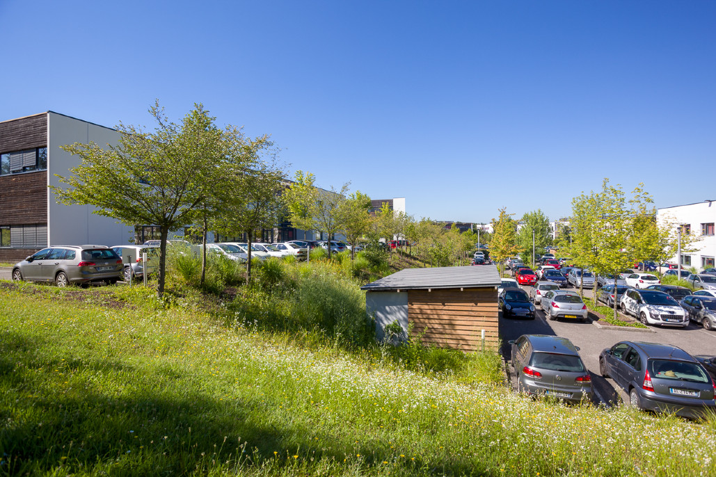 Contrat d'entretien des espaces verts d'ASL Woodstock 3