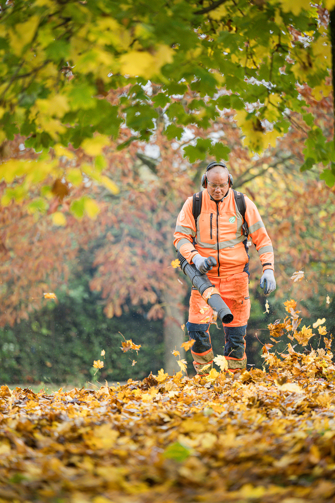 entretien-espaces-paysagers-chazal