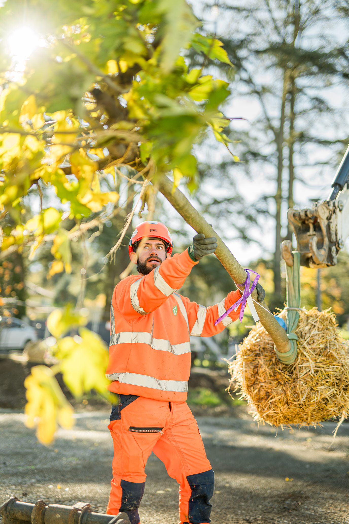 notre-histoire-chazal-espaces-verts