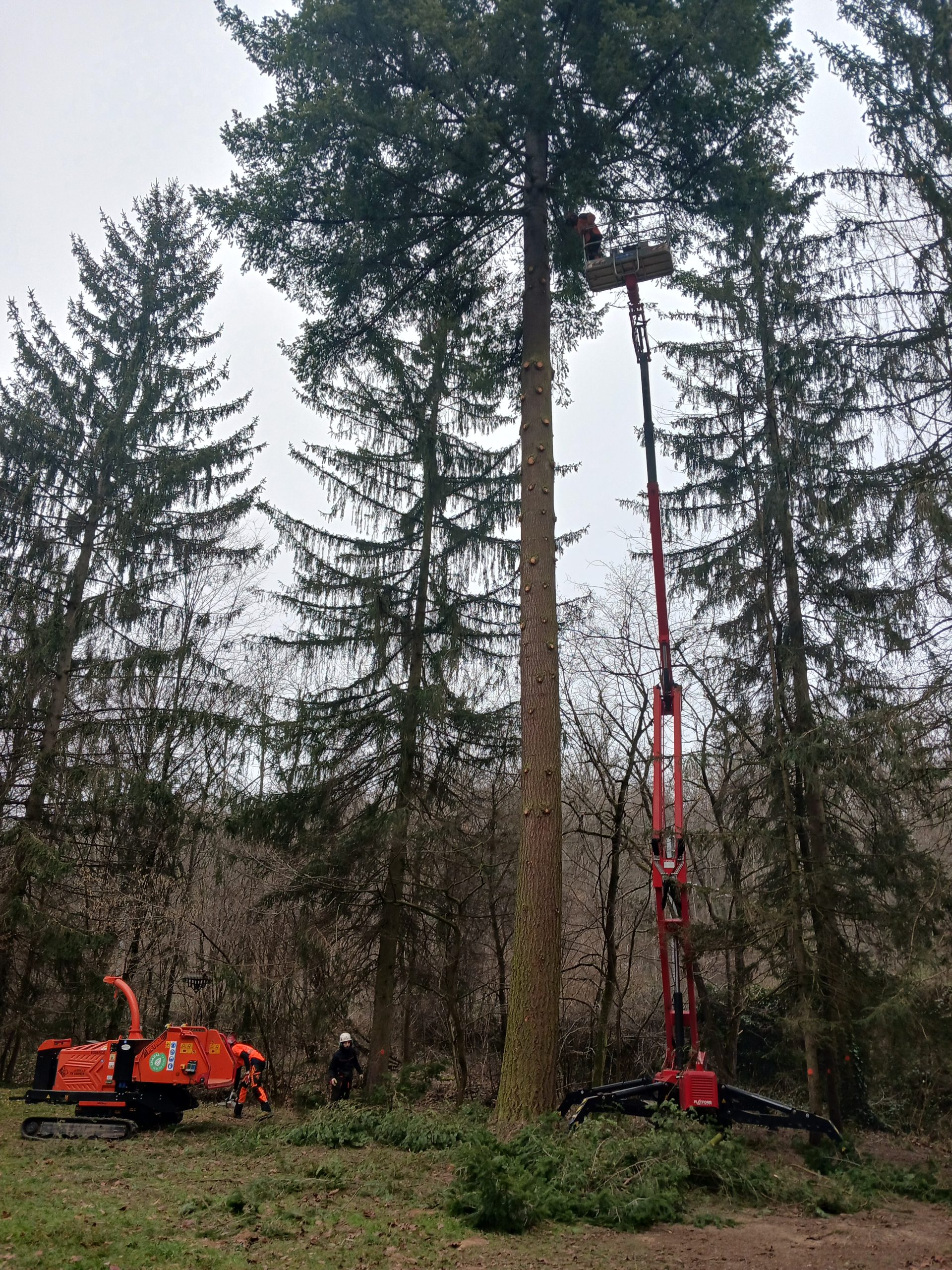 abattage-lacroix-laval-chazal