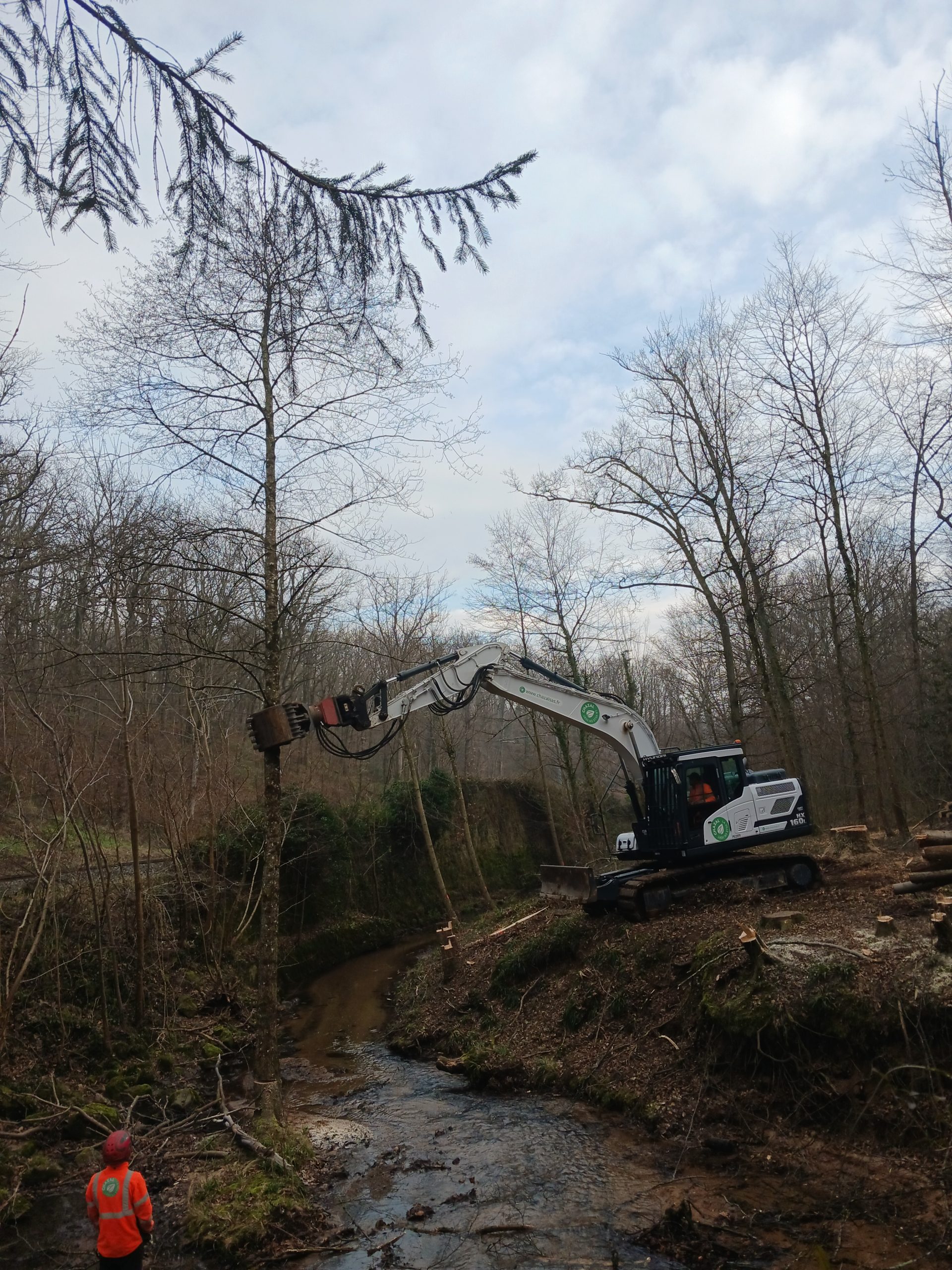 abattage-lacroix-laval-chazal