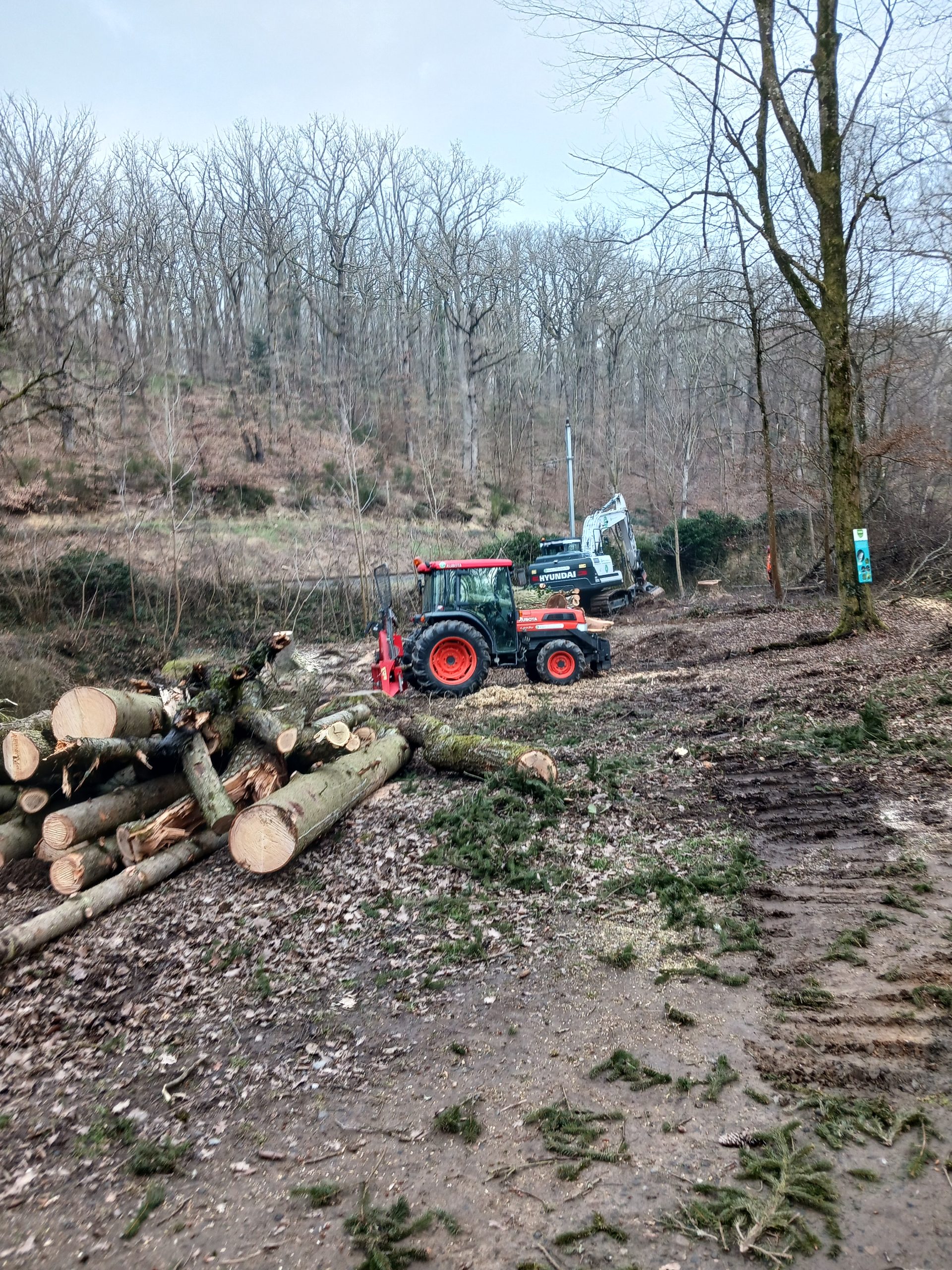 abattage-lacroix-laval-chazal