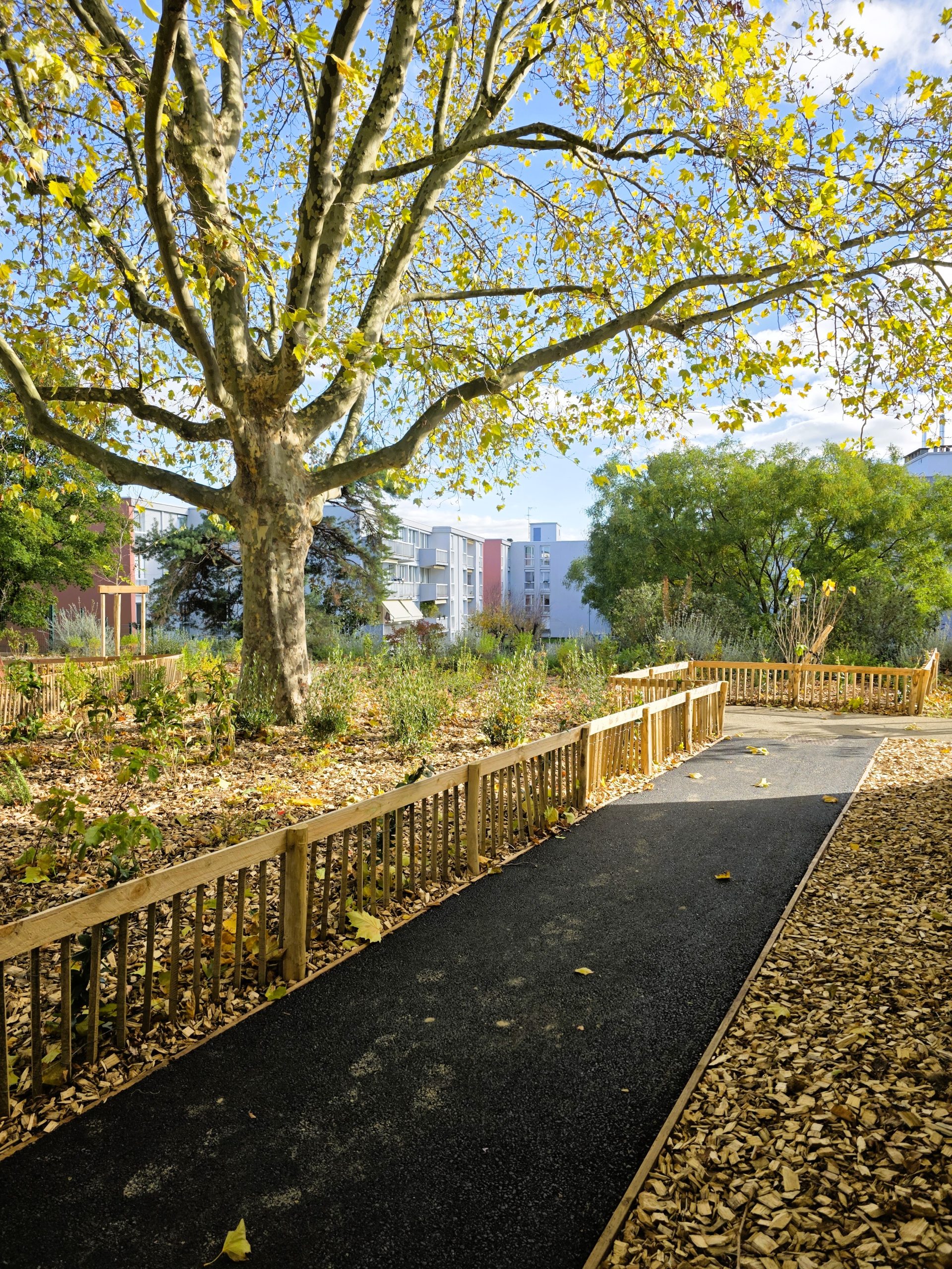 realisation-ecoles-guilloux-saint-genis-laval-chazal