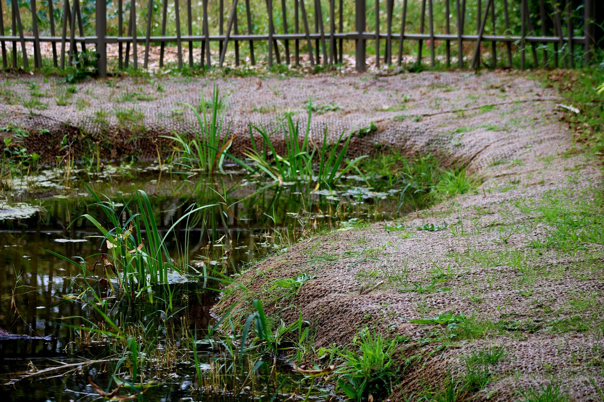 parc-autre-soie-villeurbanne-chazal