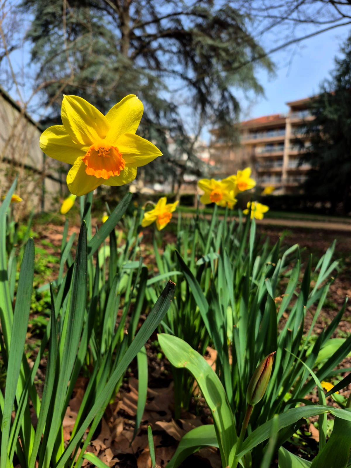 parc-montel-chazal-lyon9