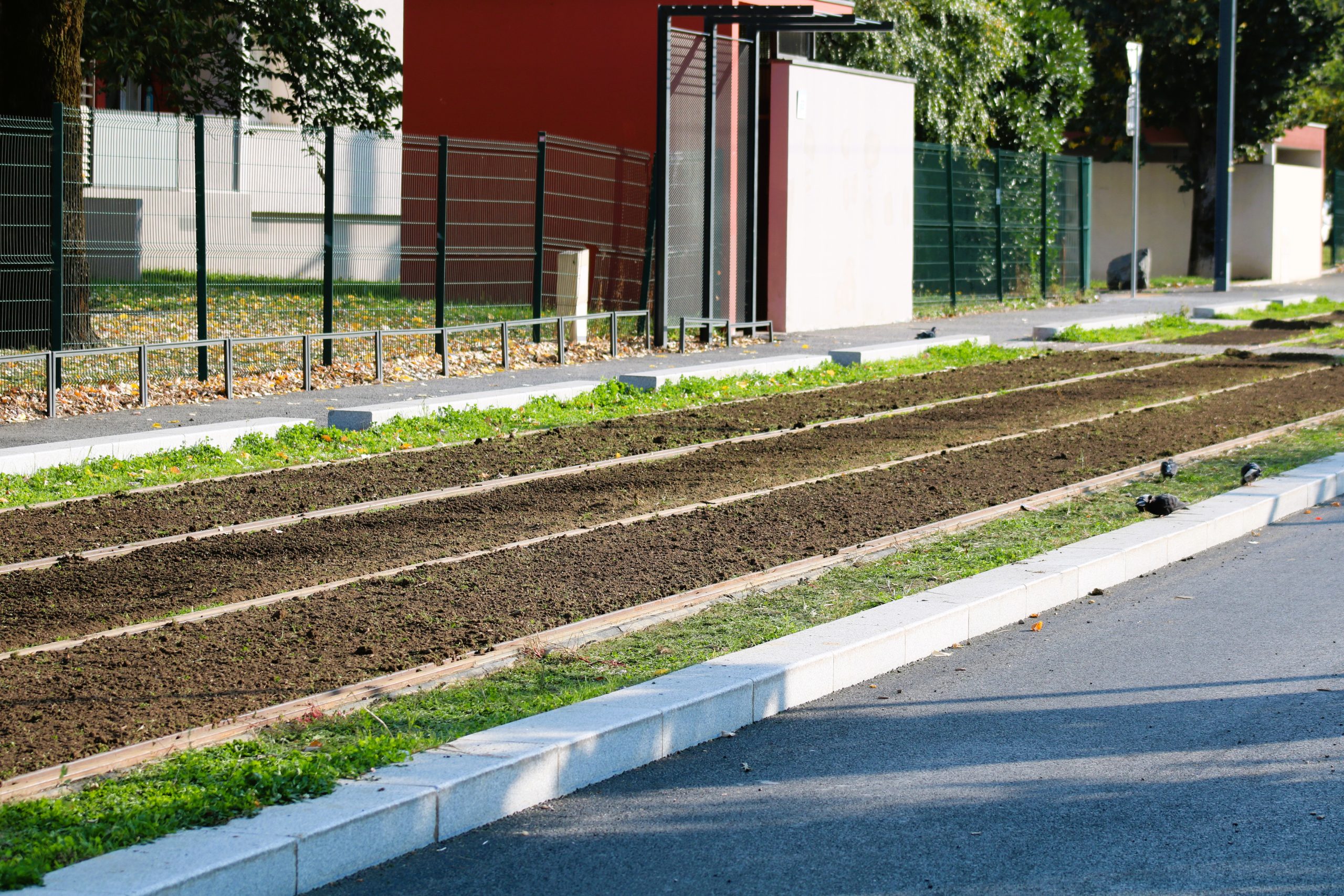 prolongement-tramway-t6-lyon-chazal