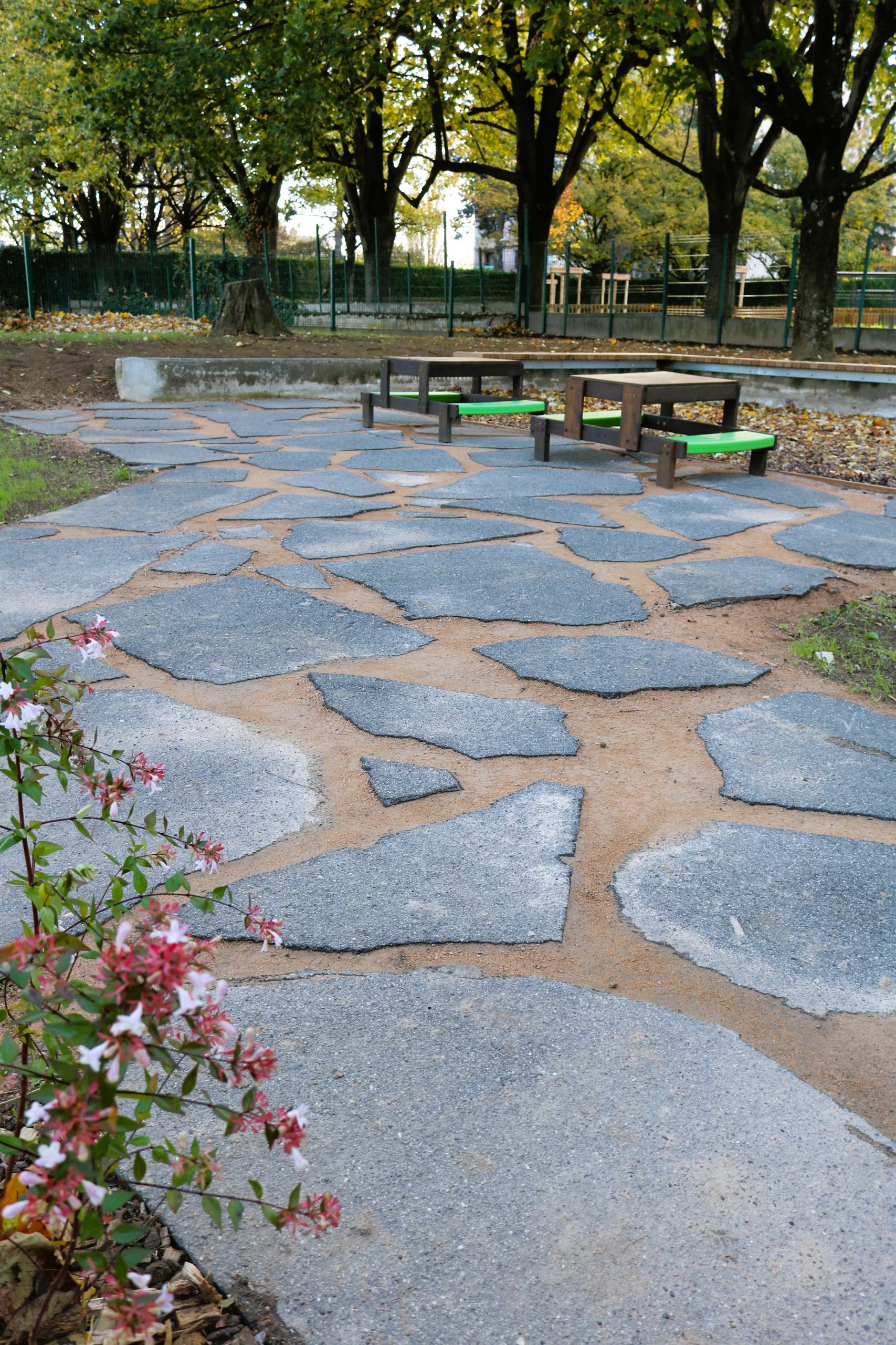 realisation-ecoles-guilloux-saint-genis-laval-chazal