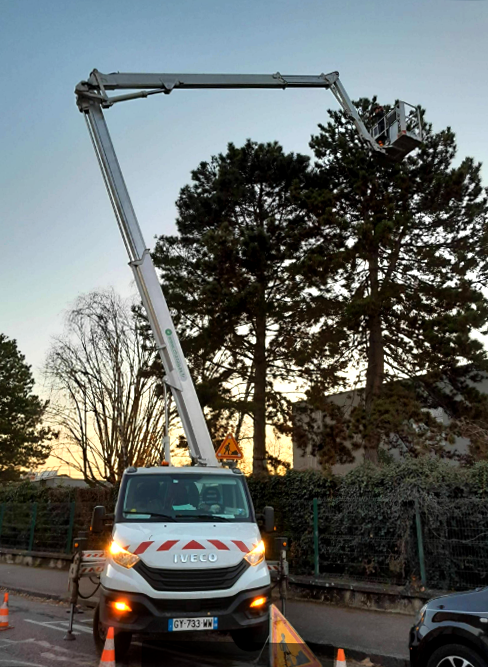 échenillage-chenille-processionnaires-chazal