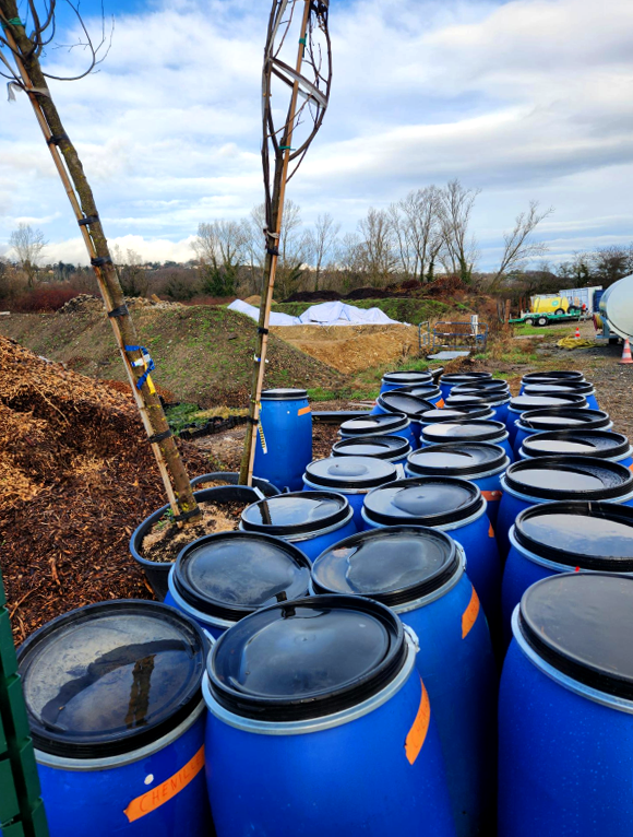 échenillage-chenille-processionnaires-chazal