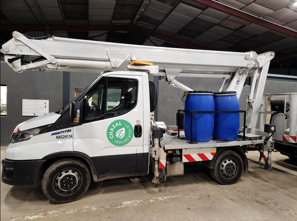 échenillage-chenille-processionnaires-chazal