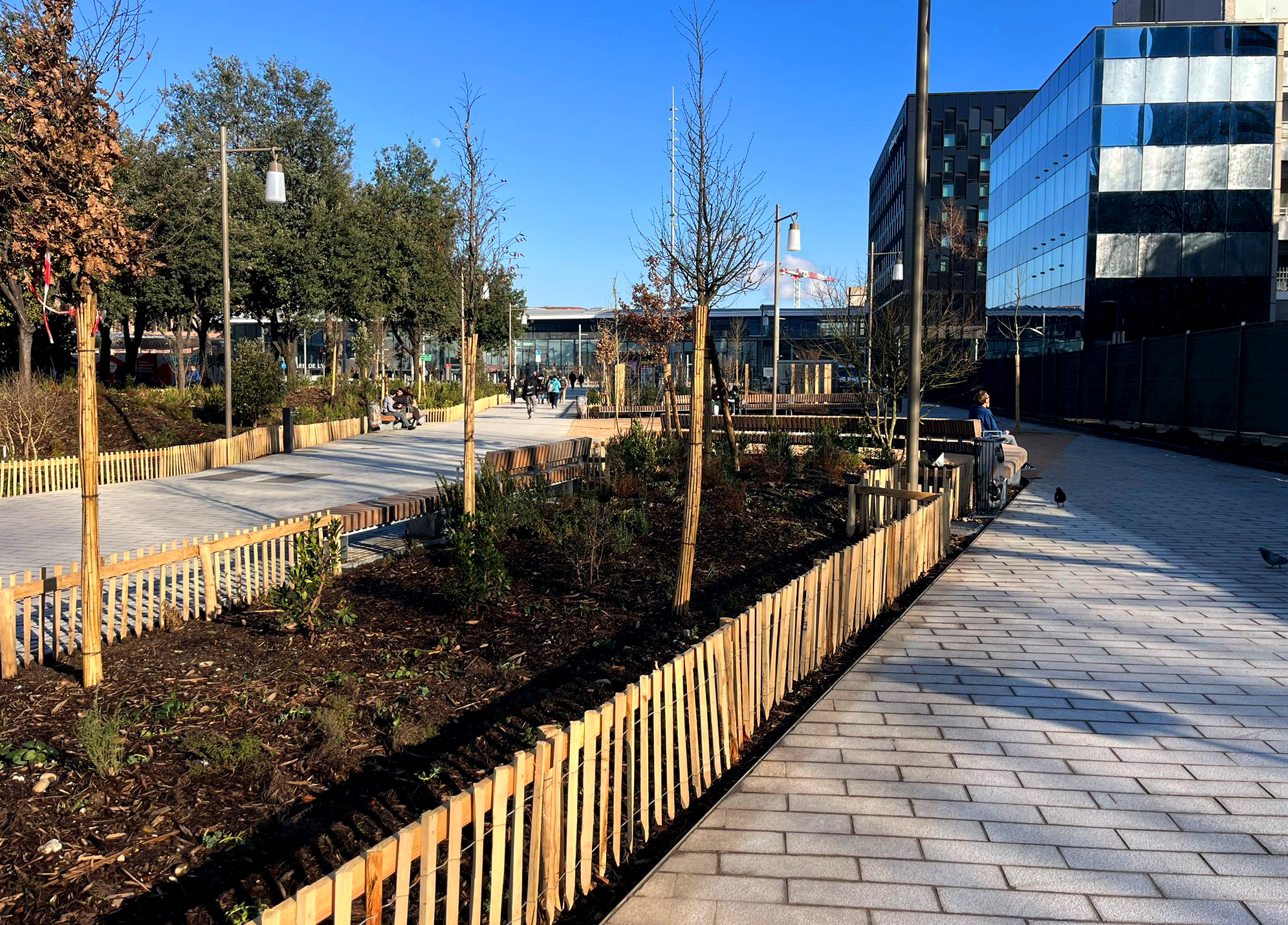 bois-part-dieu-chazal