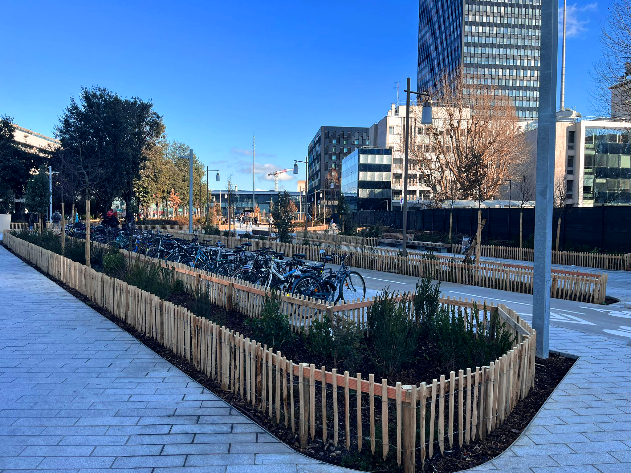 bois-part-dieu-chazal