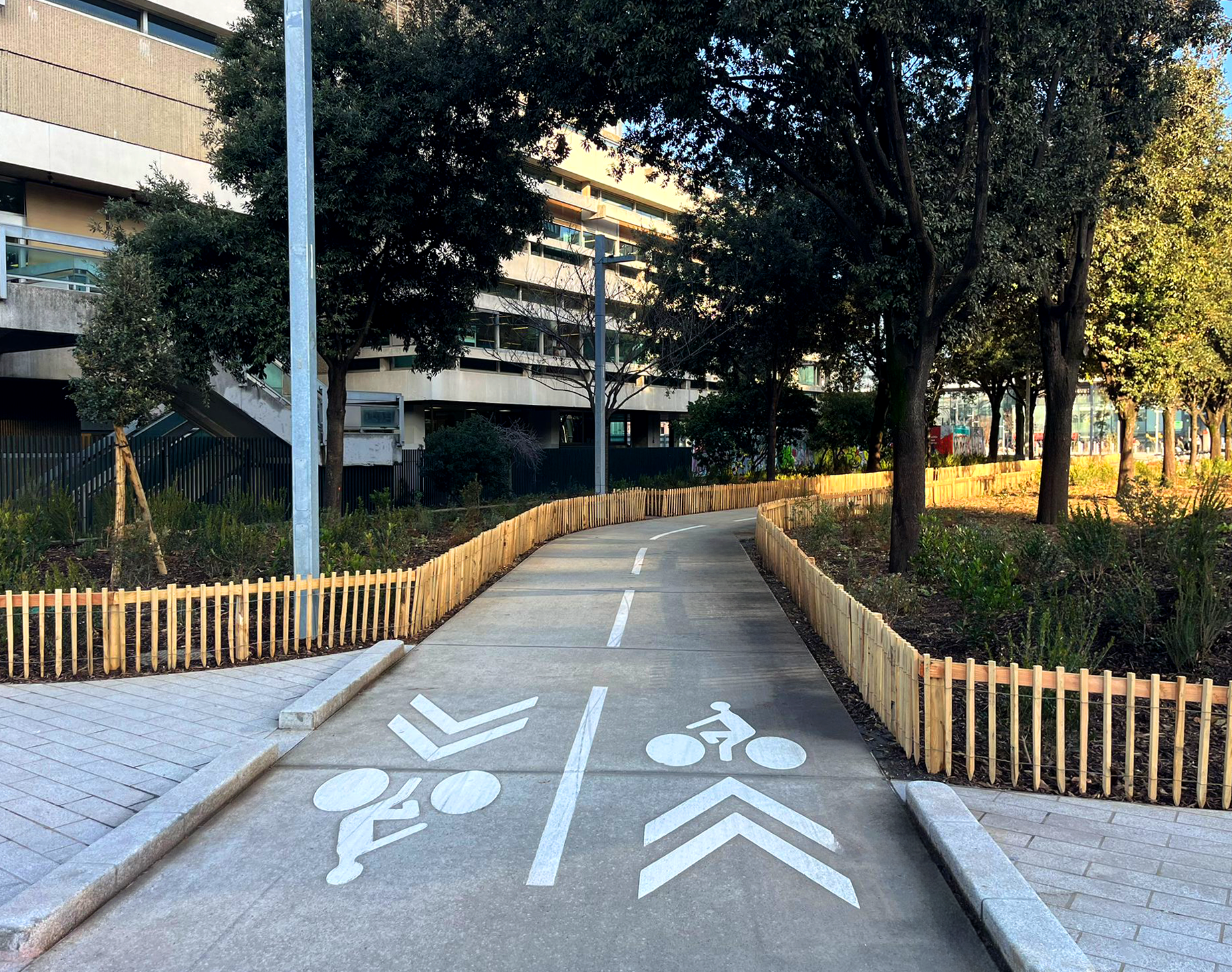 bois-part-dieu-chazal