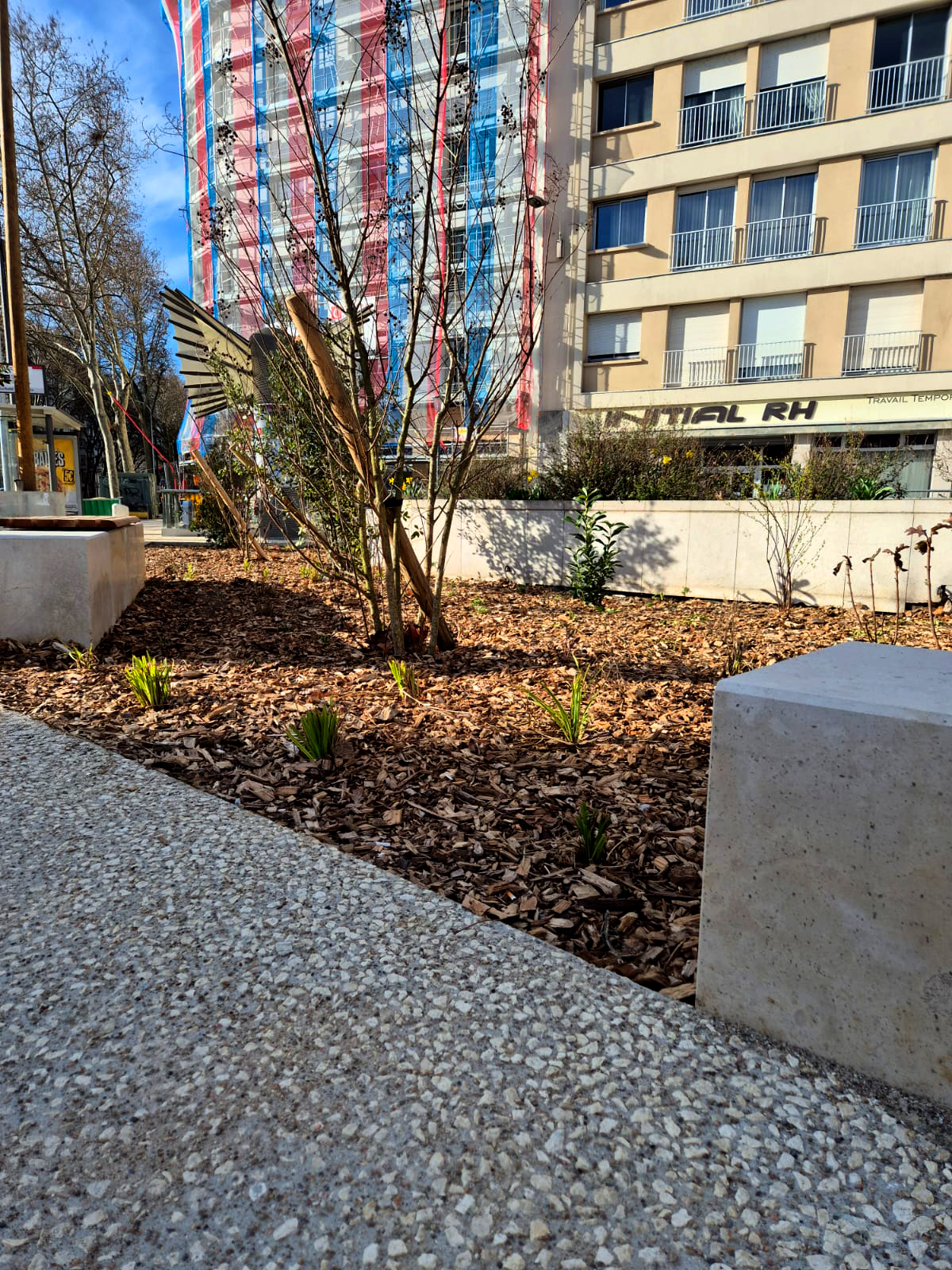 rue-garibaldi-lyon-chazal