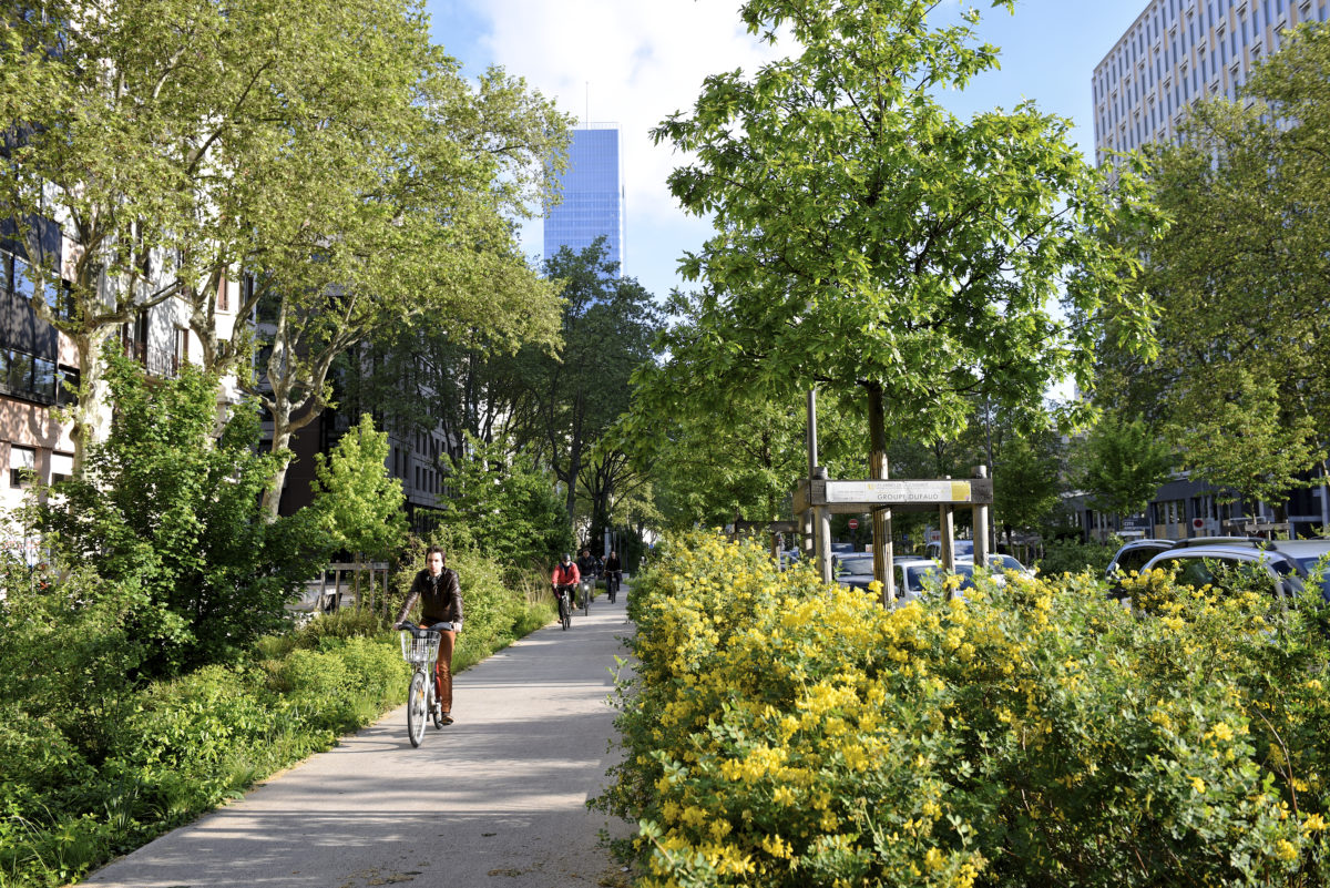 rue-garibaldi-lyon-chazal